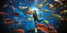 Aquaventure Waterpark Tickets Aquaventure Waterpark Tickets