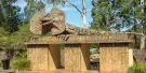 Australian Reptile Park Tickets Australian Reptile Park Tickets