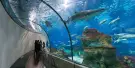 Aquarium Barcelona Tickets Aquarium Barcelona Tickets