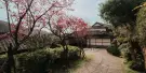 Beitou Museum Tickets