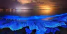 Blue Tears Kuala Selangor Tours Blue Tears Kuala Selangor Tours
