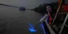 Blue Tears Kuala Selangor Tours Blue Tears Kuala Selangor Tours