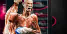 Body Worlds Amsterdam Tickets