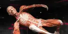 Body Worlds Amsterdam Tickets