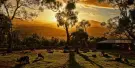 Bonorong Wildlife Sanctuary Tickets Bonorong Wildlife Sanctuary Tickets