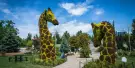 Wilder Institute Calgary Zoo Tickets