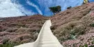 Cameron Highlands Flora Park Tickets Cameron Highlands Flora Park Tickets