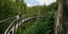 Capilano Suspension Bridge Park Tickets