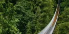 Capilano Suspension Bridge Park Tickets