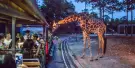 Chiang Mai Night Safari Tickets Chiang Mai Night Safari Tickets