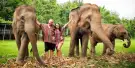Elephant Jungle Sanctuary Chiang Mai Tours Elephant Jungle Sanctuary Chiang Mai Tours