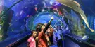 Aquaria Phuket Tickets Aquaria Phuket Tickets
