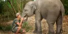 Elephant Jungle Sanctuary Pattaya Tours Elephant Jungle Sanctuary Pattaya Tours