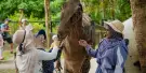 Crocodile Adventureland Langkawi Tickets Crocodile Adventureland Langkawi Tickets