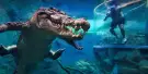 Crocosaurus Cove Tickets Crocosaurus Cove Tickets
