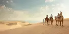 Desert Safari and Inland Sea Tours Desert Safari and Inland Sea Tours