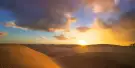 Desert Safari and Inland Sea Tours Desert Safari and Inland Sea Tours