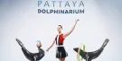 Dolphinarium Pattaya Tickets Dolphinarium Pattaya Tickets