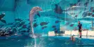 Barcelona Zoo Tickets Barcelona Zoo Tickets
