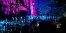 Dream Forest Langkawi Tickets Dream Forest Langkawi Tickets