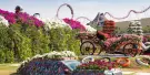 Dubai Miracle Garden Tickets Dubai Miracle Garden Tickets