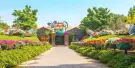 Dubai Miracle Garden Tickets Dubai Miracle Garden Tickets