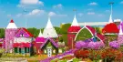 Dubai Miracle Garden Tickets Dubai Miracle Garden Tickets