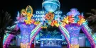Dubai Garden Glow Tickets Dubai Garden Glow Tickets