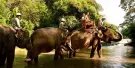 Bali Zoo Tickets Bali Zoo Tickets