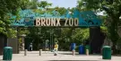 Bronx Zoo Tickets Bronx Zoo Tickets