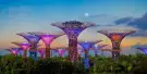Gardens by The Bay Tickets Gardens by The Bay Tickets