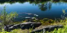 Everglades National Park Tickets Everglades National Park Tickets