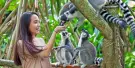 Bali Zoo Tickets Bali Zoo Tickets