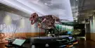 Field Museum Tickets