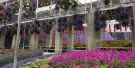 Cameron Highlands Flora Park Tickets Cameron Highlands Flora Park Tickets