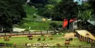 Flying Cow Ranch Tickets
