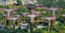 Gardens by The Bay Tickets Gardens by The Bay Tickets