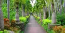Southeast Botanical Gardens Tickets Southeast Botanical Gardens Tickets