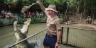 Hartley's Crocodile Adventures Tickets Hartley's Crocodile Adventures Tickets