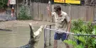 Hartley's Crocodile Adventures Tickets Hartley's Crocodile Adventures Tickets