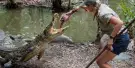 Hartley's Crocodile Adventures Tickets Hartley's Crocodile Adventures Tickets