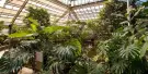 Hortus Botanicus Leiden Tickets