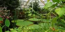 Hortus Botanicus Leiden Tickets