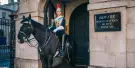 The Household Cavalry Museum Tickets The Household Cavalry Museum Tickets