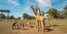 Hunter Valley Wildlife Park Tickets Hunter Valley Wildlife Park Tickets
