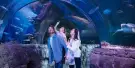 SEA LIFE Great Yarmouth Tickets SEA LIFE Great Yarmouth Tickets