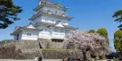 Odawara Castle Tickets Odawara Castle Tickets
