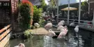 Jing Yuan Leisure Farm Tickets