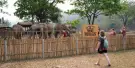 Elephant Jungle Sanctuary Pattaya Tours Elephant Jungle Sanctuary Pattaya Tours