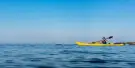 Kayaking in Dubai Kayaking in Dubai